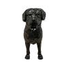 Statue Chien Rottweiler Resine H.70cm - Noir
